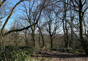 Excursión Senderismo Trooz - Forêt Magnée par Meiser - Photo