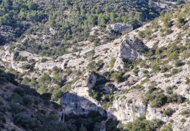 Excursión Senderismo Gordes - 20250126senanque - Photo