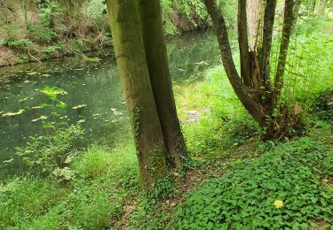 Trail Walking Bassenge - au départ du fort de Eden -Emael - Photo