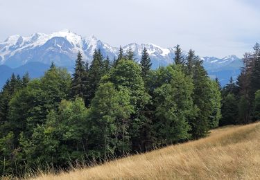 Tocht Stappen Sallanches - 230810 - Photo