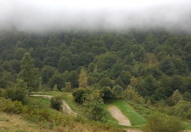 Trail Walking Ustou - Cirque de Cagateille - etangs de la Hilette et Alet - Photo