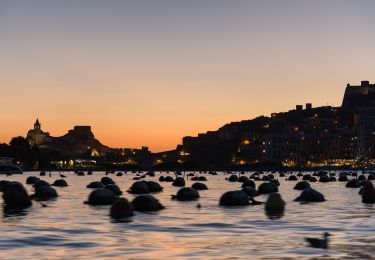 Trail On foot Portovenere - Isola Palmaria (giro dell'isola) - Photo