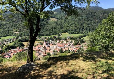 Excursión Senderismo Oderen - Oderen-Gomm-Abri du Strass Hiesel - Photo