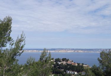 Tocht Stappen Marseille - Marseilleveyre - Photo