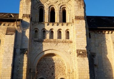 Trail Walking Gennes-Val-de-Loire - Cunault  - Photo