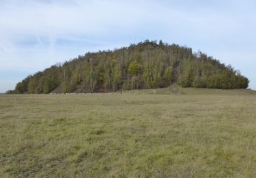 Tour Zu Fuß Genk - Thorpark - De Kolonie Rode driehoek - Photo