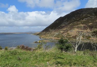 Tour Zu Fuß Westport-Belmullet Municipal District - Causeway Loop Walk - Photo