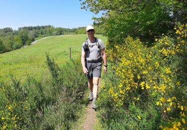 Trail Walking Bouillon - Bouillon -  Dohan par GR AE - Photo