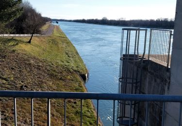 Tocht Stappen Viviers - gym 23 01 25 - Photo