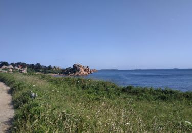 Trail Walking Perros-Guirec - 2025-06-14 ploumanac h 1 - Photo