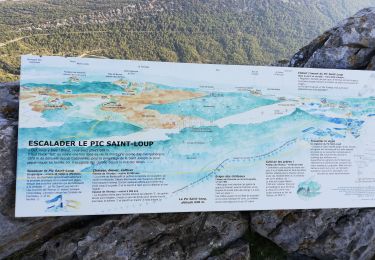 Randonnée Marche Cazevieille - pic Saint loup - Photo