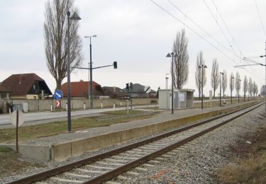 Tocht Te voet Gemeinde Haslau - Maria Ellend - Maria Ellend - Haslau - Photo