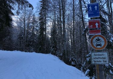 Excursión A pie Reit im Winkl - Wanderweg 14 - Reit im Winkl - Photo