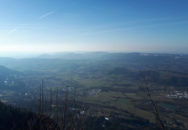 Excursión Senderismo Saint-Christophe-sur-Guiers - La Ruchere - Col de l'Allienard - Photo