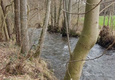 Tour Wandern Érezée - Erezée belle balade  - Photo