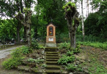 Excursión A pie Desconocido - Szlak im. Marii Zientary-Malewskiej - Photo