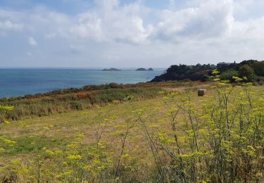 Randonnée Marche Cancale - Cancale saussaye pointe grouin - Photo