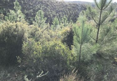 Randonnée Marche Fréjus - JD 18/20 La colle douce par les roches noires - Photo