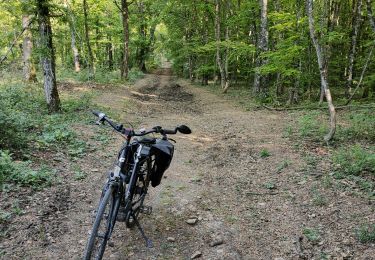 Percorso Bici da strada Saulny - saulny - Photo