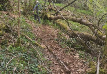 Trail Walking Torcieu - Dornan et ses grottes - Photo