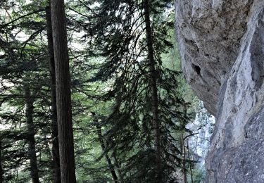 Randonnée Marche Voreppe - vire de l'aiguille de Chalais  - Photo