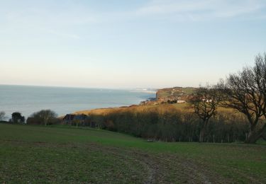 Trail Walking Hautot-sur-Mer - pourville val d'ailly - Photo