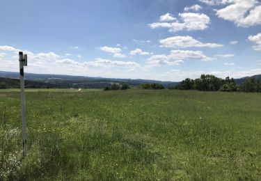 Excursión A pie Nittenau - Drei-Burgen-Weg (Nittenau) - Photo