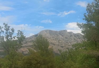 Randonnée Marche Beaurecueil - Beaurecueil - Photo