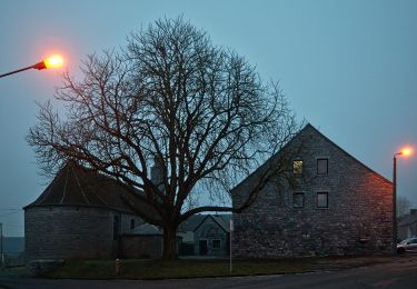 Randonnée A pied Couvin - Dailly - Balade à Couvin - Photo