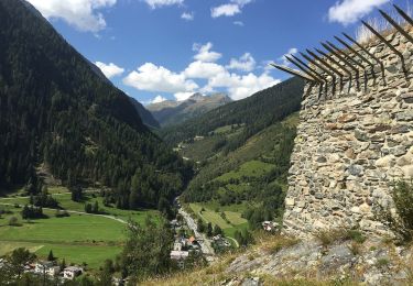 Percorso A piedi Zernez - Susch - Lavin - Photo