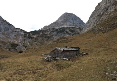 Tocht Te voet Werfen - AT-nicht markiert, teilweise schwer zufinden - Photo