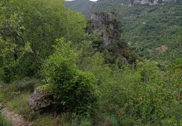 Excursión Senderismo Rogues - 34 le saut du Loup 10 06.23 - Photo