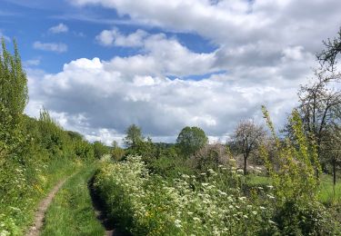 Trail Walking Barneville-la-Bertran - Honfleur  - Photo