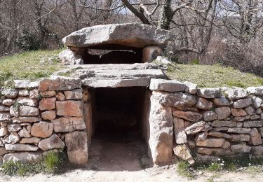 Tour Wandern Quinson - Quinson Basses Gorges Chapelle Ste Maxime  Baume des Pierres - Photo