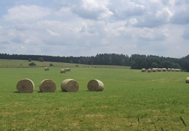 Tour Wandern Feitweiler - rando fauvillers 26 /06/2021 - Photo