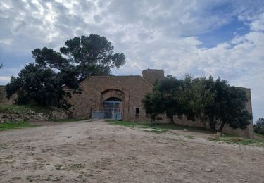 Tour Wandern Le Pradet - les 3 forts depuis la plage de la Garonne  - Photo