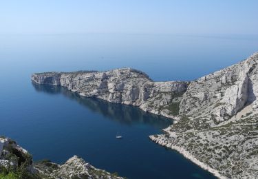 Tocht Stappen Marseille - PF-Les calanques - Le Mont Puget - Photo