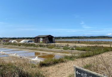 Trail Walking L'Île-d'Olonne - Sentier la fleur de sel  - Photo