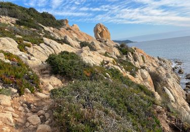 Tour Wandern Ramatuelle - Escalet MM - Photo