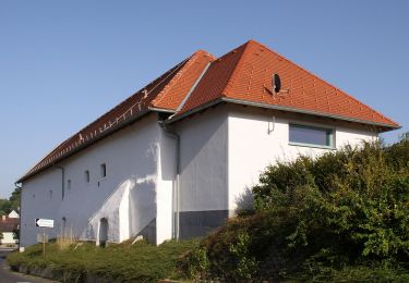 Randonnée A pied Rohrbach bei Mattersburg - Rohrbach bei Mattersburg - Herrentisch - Photo