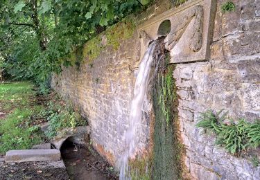 Excursión Senderismo Hamois - Scy et la source du Bocq par Mohiville - Photo