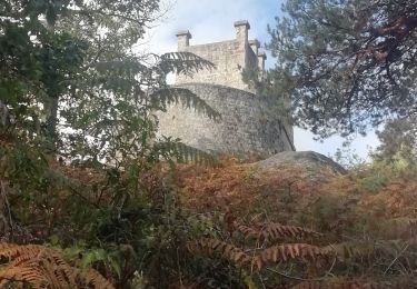 Trail Horseback riding Fontainebleau - etape 2 denecourt - Photo