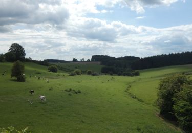 Percorso A piedi Bièvre - Marche Adeps 10 km Petit-Fays - Photo