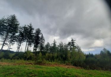 Tour Wandern Bertrix - promenade de feneants  - Photo