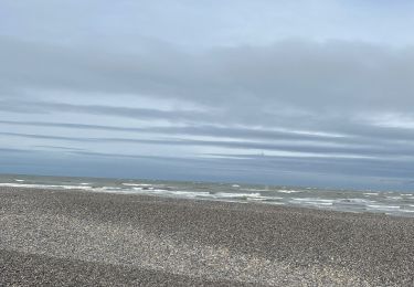 Trail Electric bike Cayeux-sur-Mer - La pointe du hourdel et Cayeux-sur-Mer sur mer - Photo