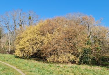 Percorso Marcia Limoges - landouges  - Photo