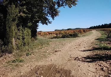 Trail Walking Saze - saze 30 - Photo