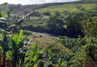 Excursión Senderismo Le Lorrain - Boucle Vallon - Morne-Bois - Seguineau - Photo