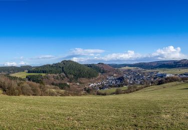 Randonnée A pied Willingen (Upland) - Willingen W8 - Photo