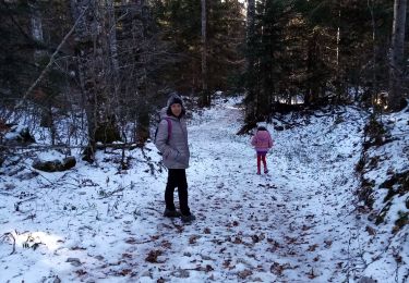 Trail Walking Saint-Martin-en-Vercors - Pas st Martin - Photo